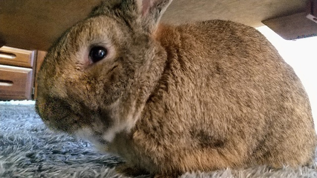 f:id:akirosso:20220212165352j:plain