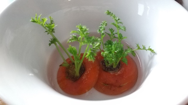 f:id:akirosso:20220219193050j:plain