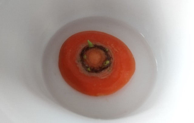 f:id:akirosso:20220219200447j:plain