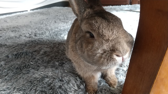 f:id:akirosso:20220219203445j:plain