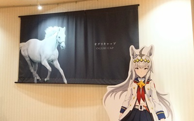 ヴェラアズール】に会いに行きました｜優駿スタリオンステーション