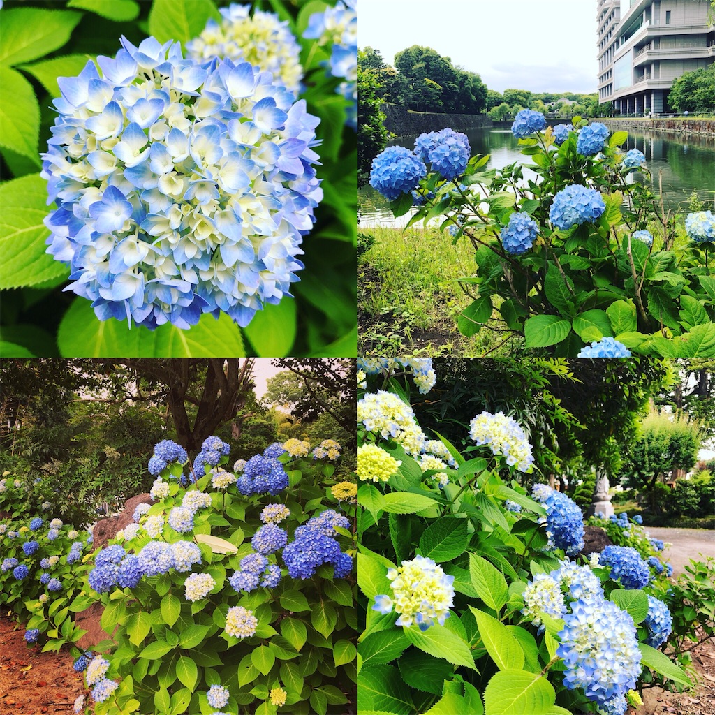 f:id:akiruno_life:20180527223640j:image f:id:akiruno_life:20180527223640j:image