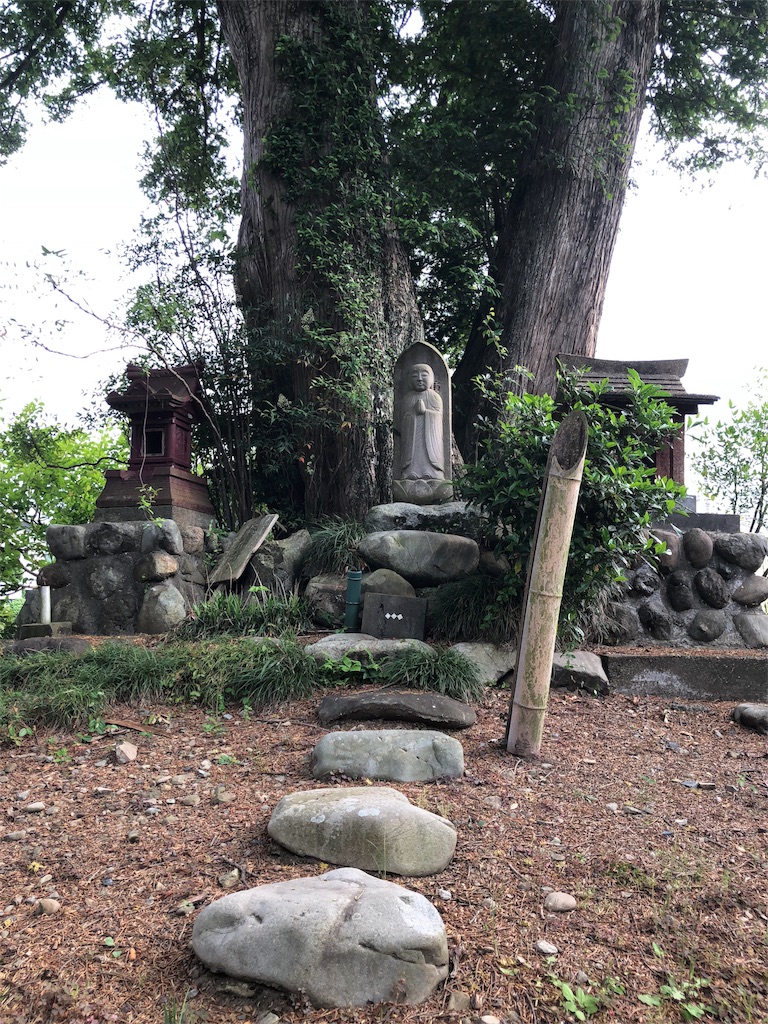 f:id:akiruno_life:20180527223729j:image f:id:akiruno_life:20180527223729j:image