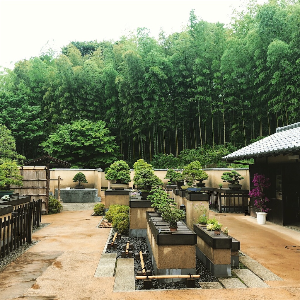 日本庭園と盆栽苑を巡るTraipsing around a Japanese Garden and