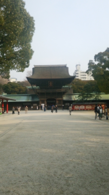 イメージ 3