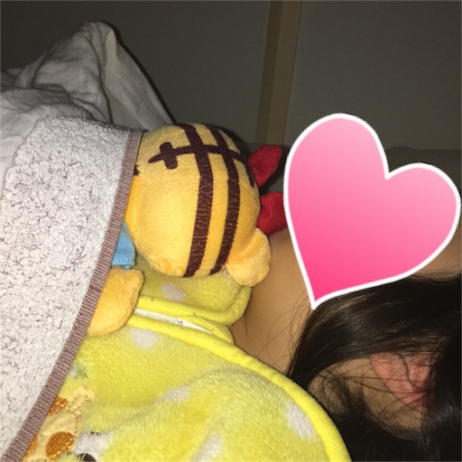 f:id:akisan01:20170117081951j:image