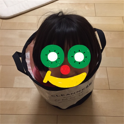 f:id:akisan01:20170424130740j:image