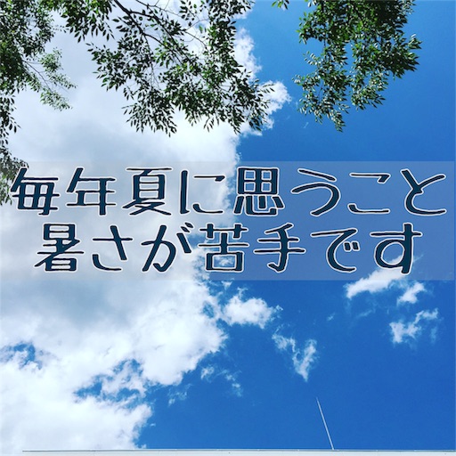 f:id:akisan01:20170803072635j:image