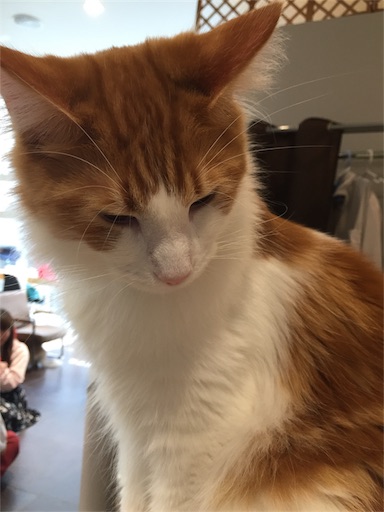 f:id:akisan01:20180519202841j:image