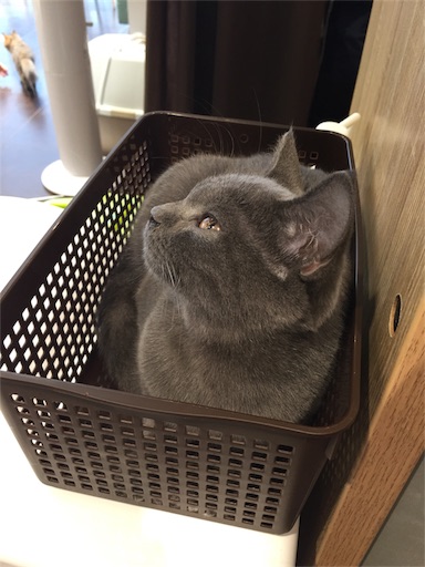 f:id:akisan01:20180519202853j:image