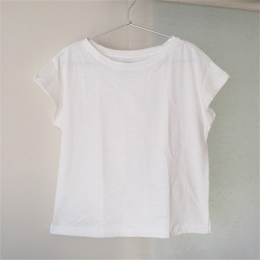 f:id:akisan01:20180619161912j:image f:id:akisan01:20180619161912j:image