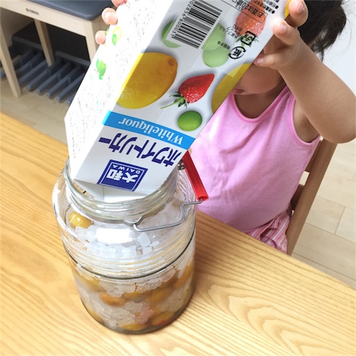 f:id:akisan01:20180731102840j:image