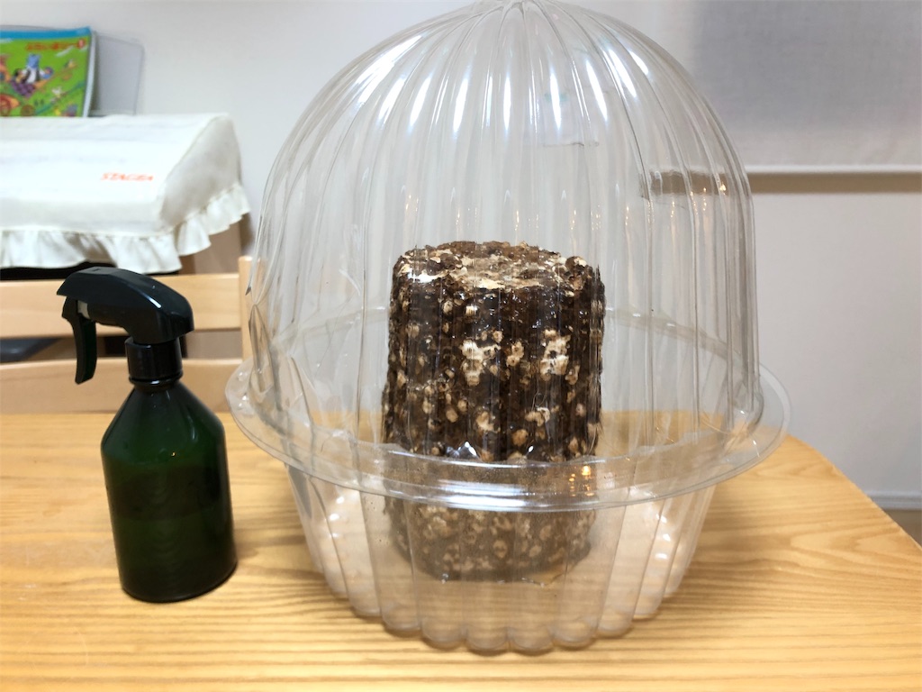 f:id:akisan01:20190116001959j:image f:id:akisan01:20190116001959j:image