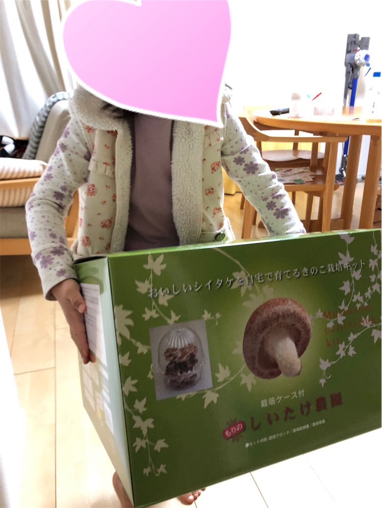 f:id:akisan01:20190116002236j:image f:id:akisan01:20190116002236j:image