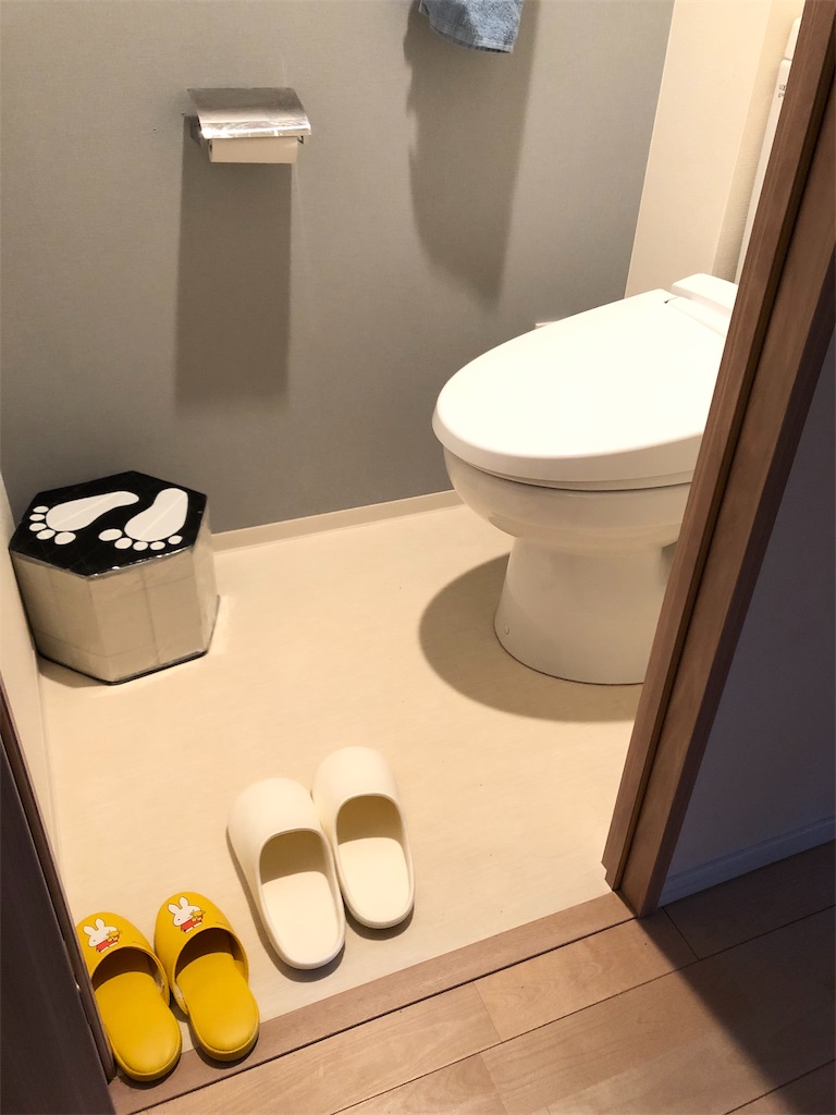 f:id:akisan01:20190128171613j:image