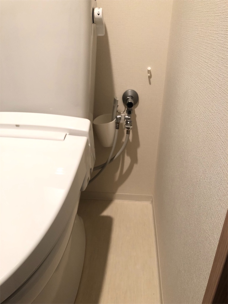 f:id:akisan01:20190128171618j:image