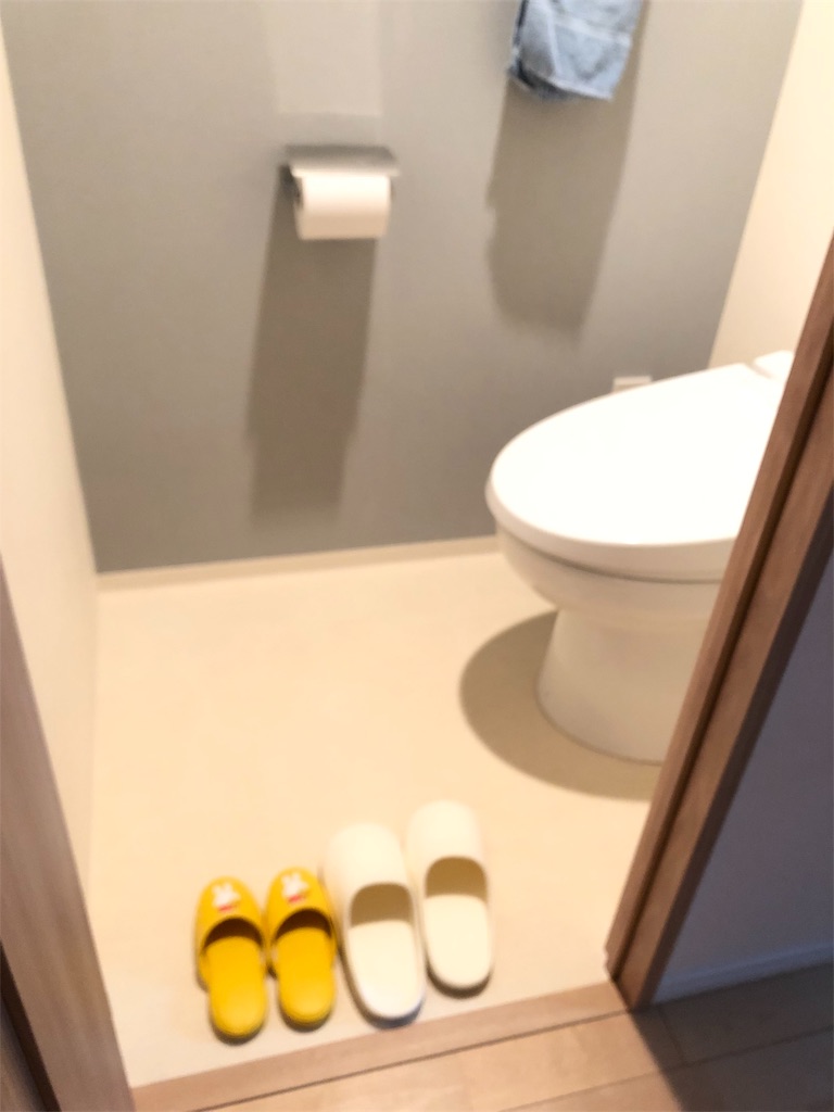 f:id:akisan01:20190130061322j:image