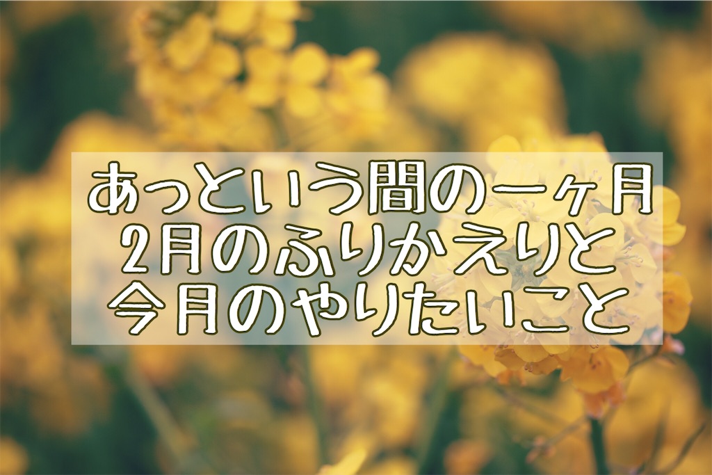 f:id:akisan01:20190228124746j:image