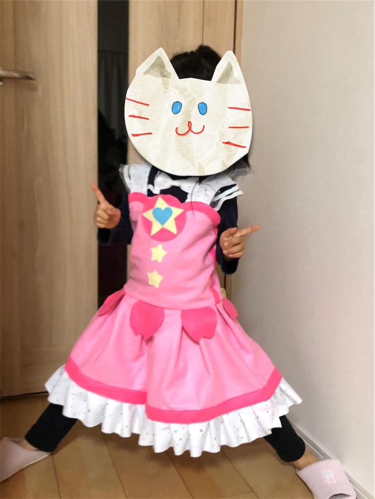 f:id:akisan01:20190306095407j:image