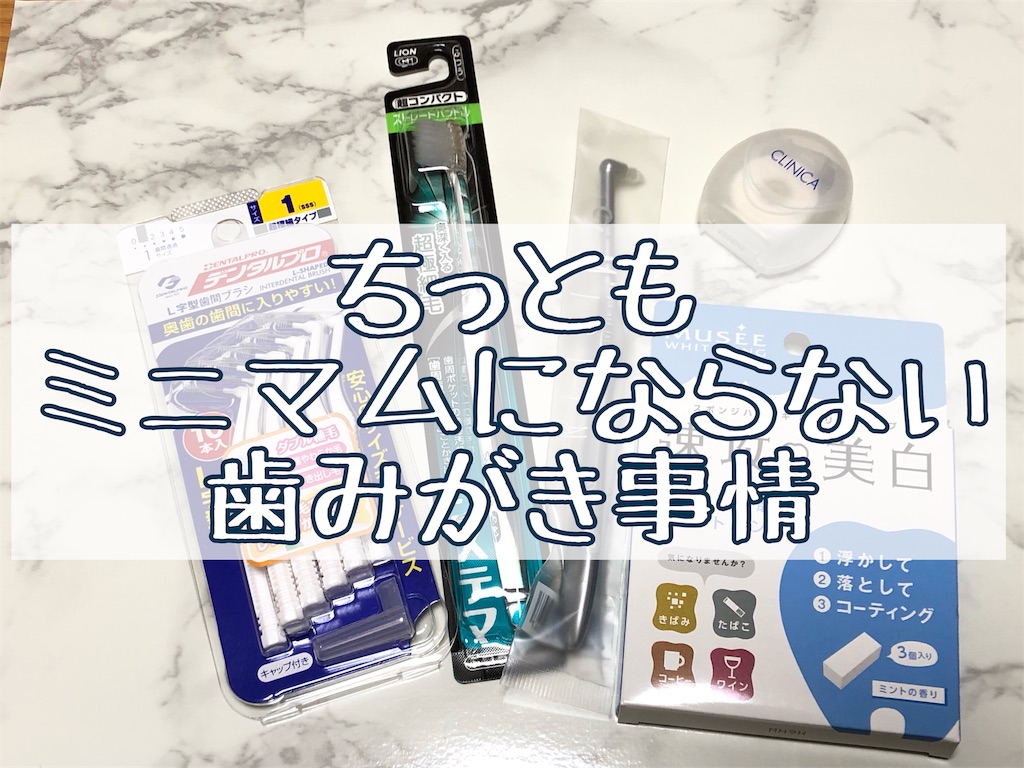 f:id:akisan01:20190311223911j:image