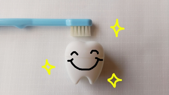 歯ブラシと歯の写真