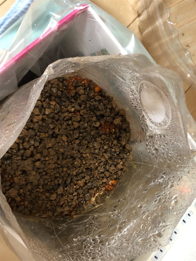 f:id:akisan01:20190402085029j:image