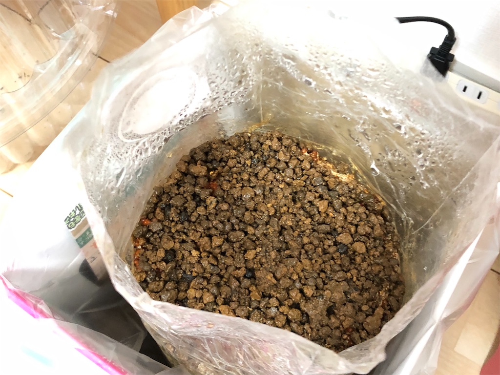 f:id:akisan01:20190402085045j:image