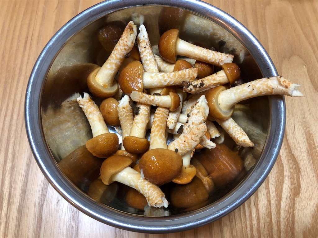 f:id:akisan01:20190402085121j:image