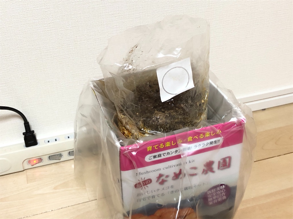 f:id:akisan01:20190402085125j:image