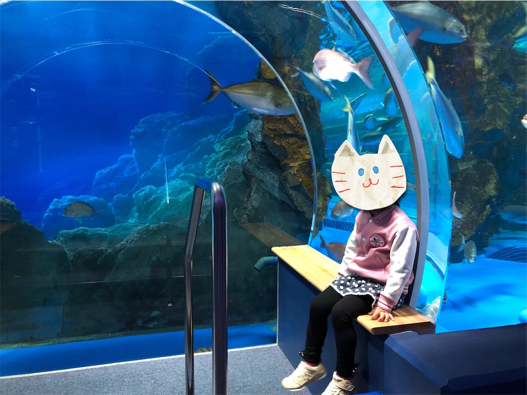 f:id:akisan01:20190502220823j:image f:id:akisan01:20190502220823j:image