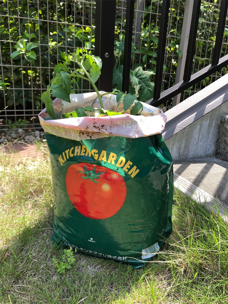 f:id:akisan01:20190527163350j:image