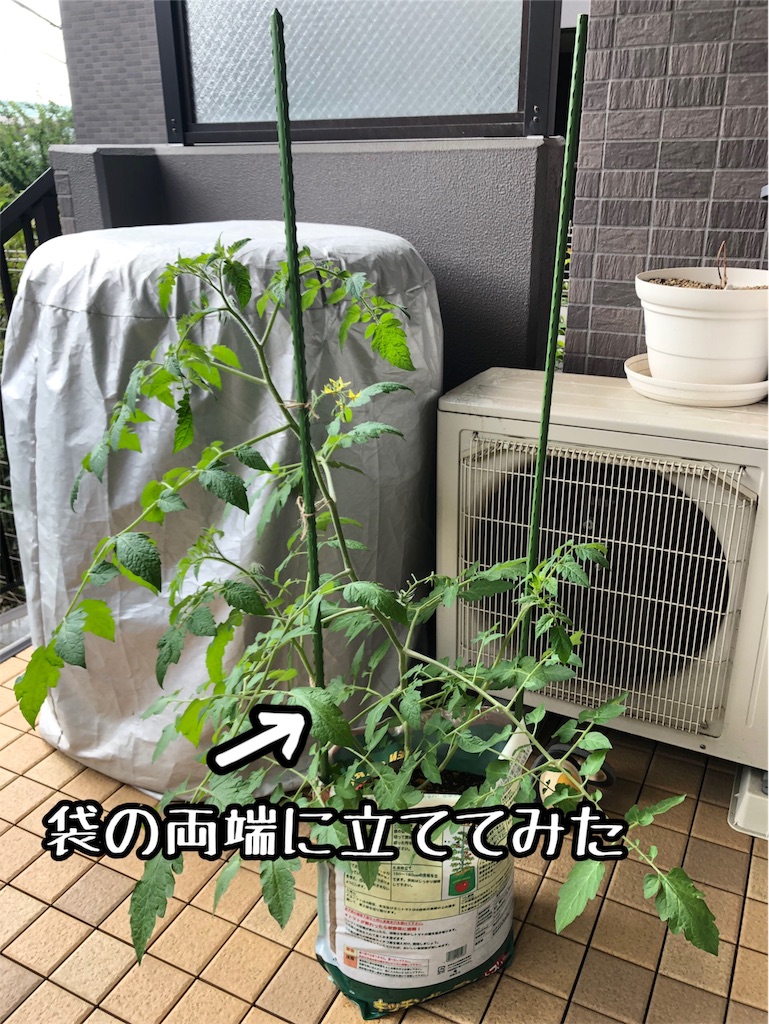 f:id:akisan01:20190619091654j:image