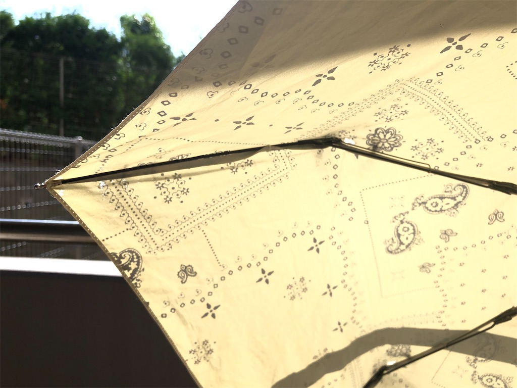 f:id:akisan01:20200611064309j:image