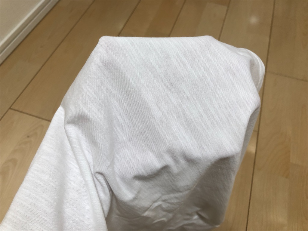 f:id:akisan01:20200621092430j:image f:id:akisan01:20200621092430j:image