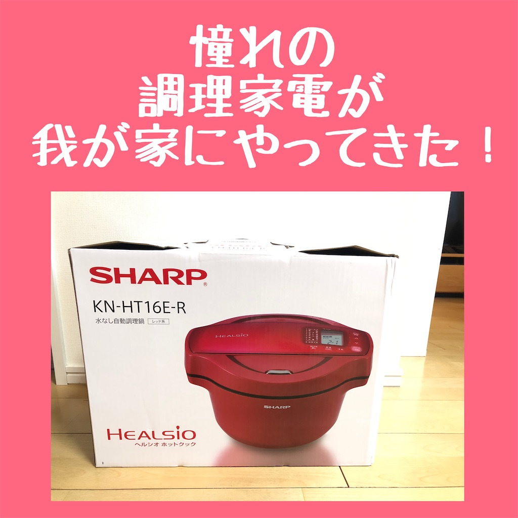 f:id:akisan01:20210118221609j:image