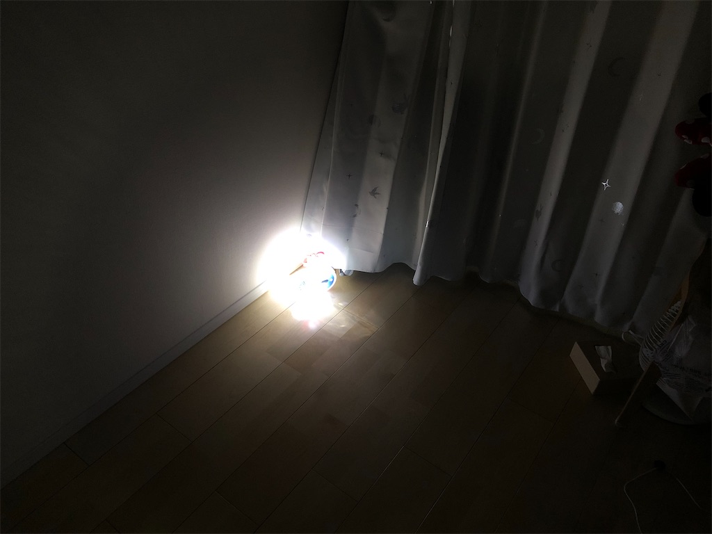 f:id:akisan01:20210120133123j:image f:id:akisan01:20210120133123j:image