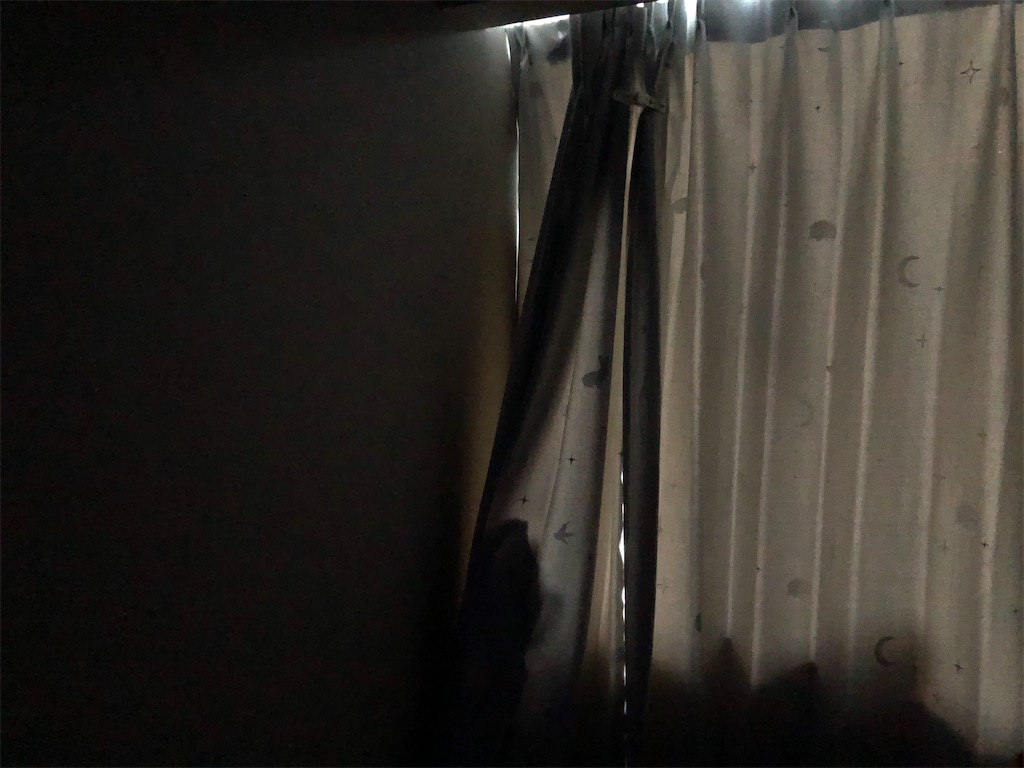 f:id:akisan01:20210120133135j:image f:id:akisan01:20210120133135j:image