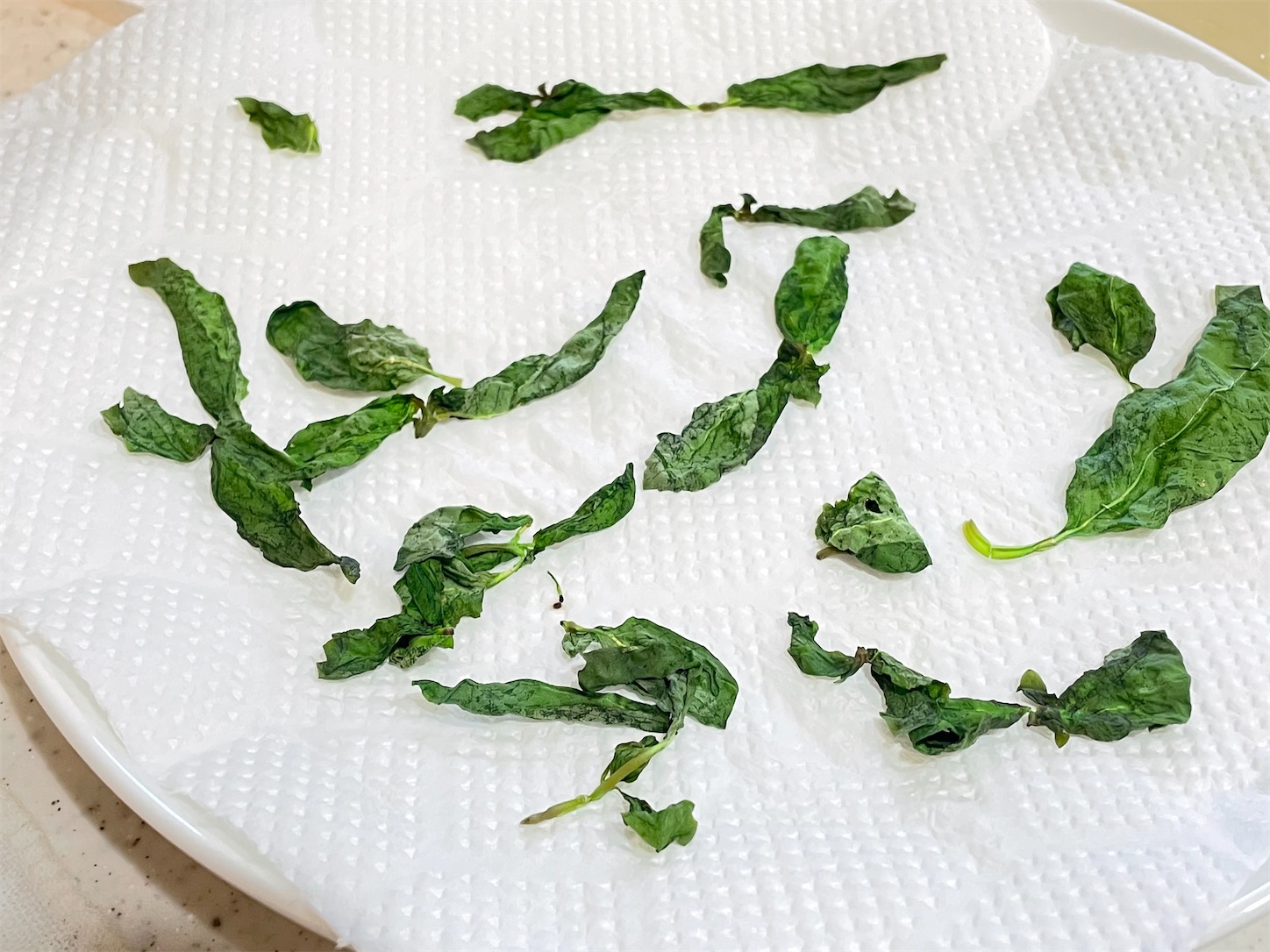 f:id:akisan01:20210607112439j:image