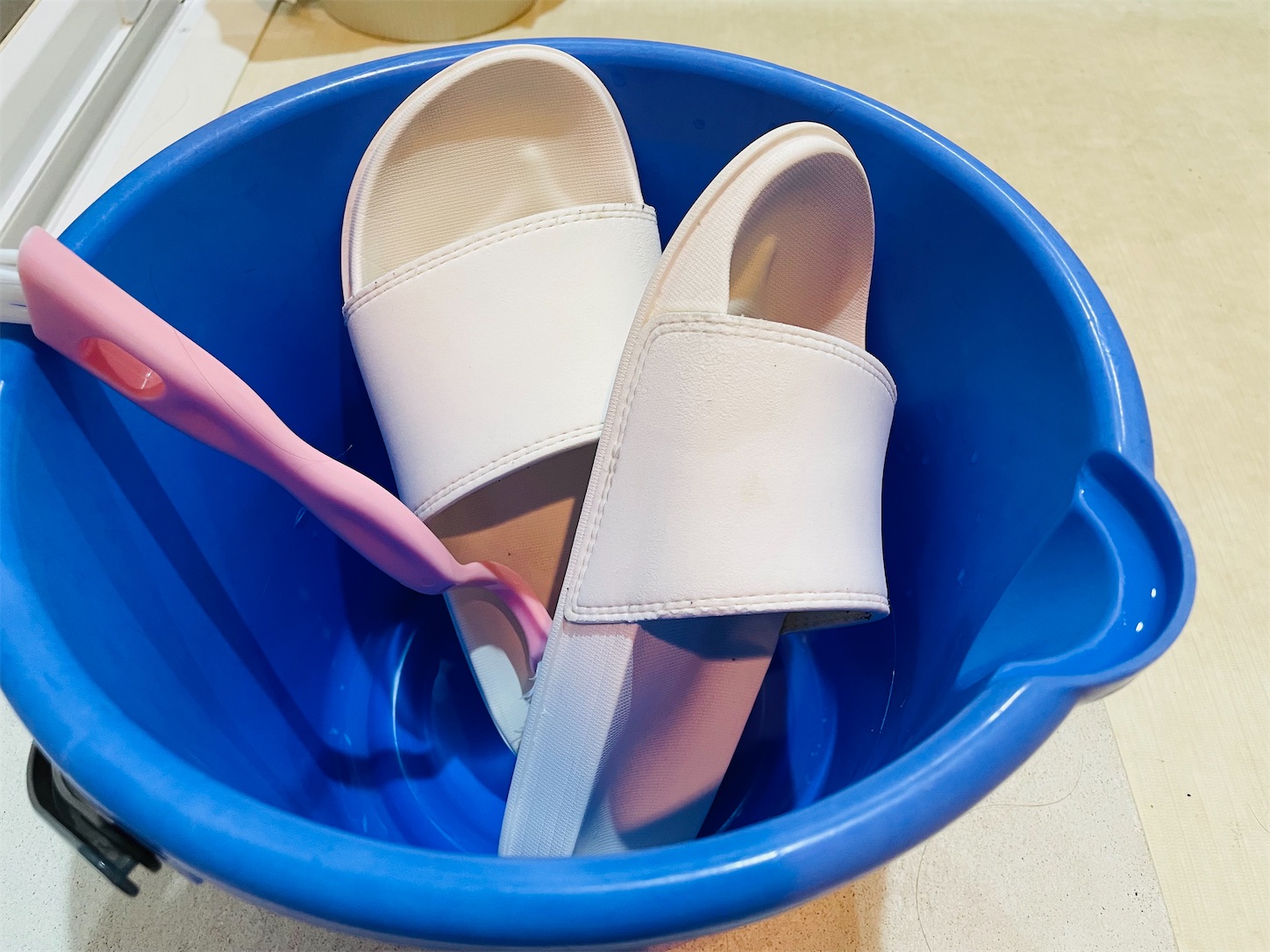 f:id:akisan01:20210712203425j:image f:id:akisan01:20210712203425j:image