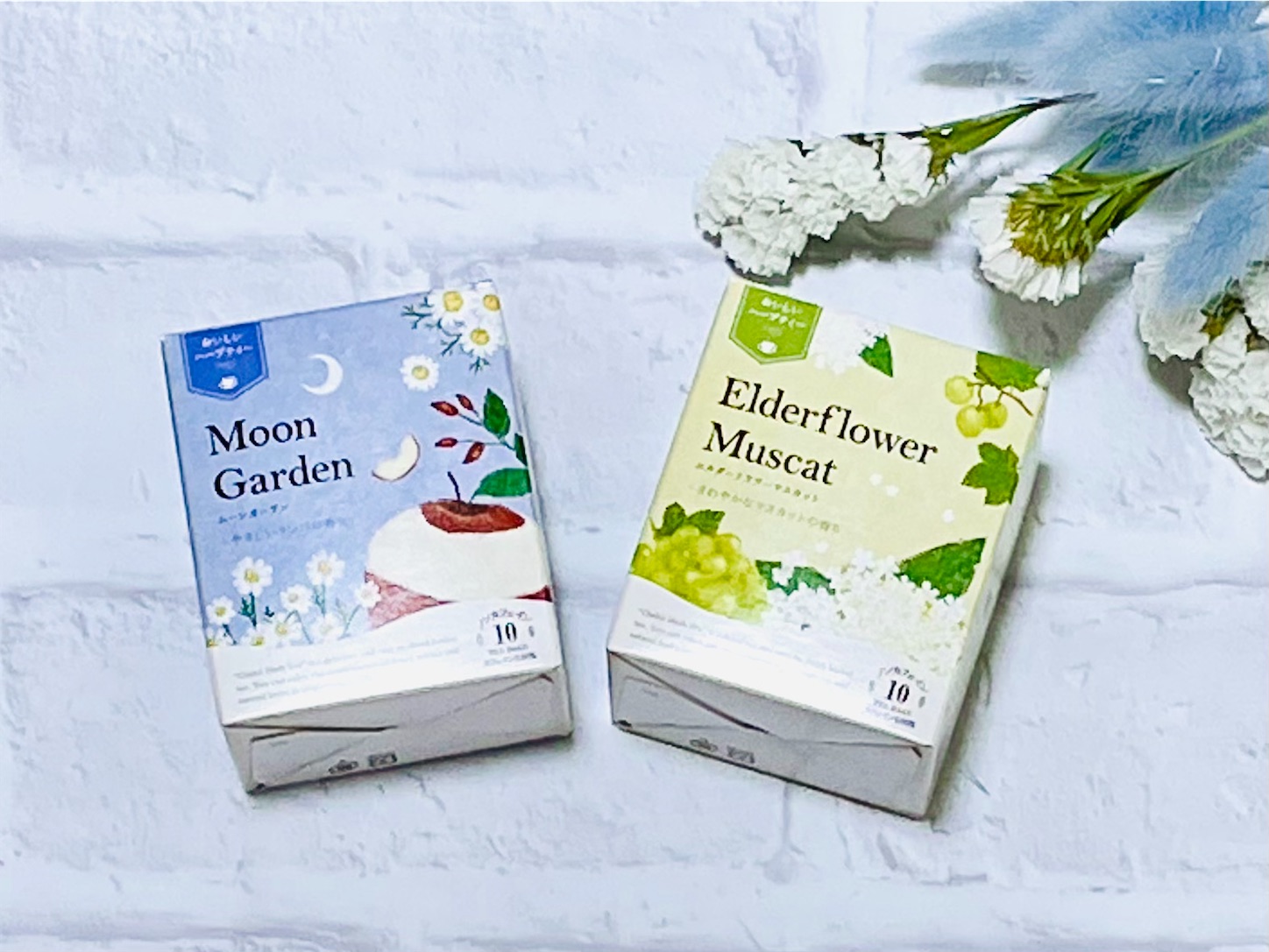 f:id:akisan01:20220201210139j:image f:id:akisan01:20220201210139j:image