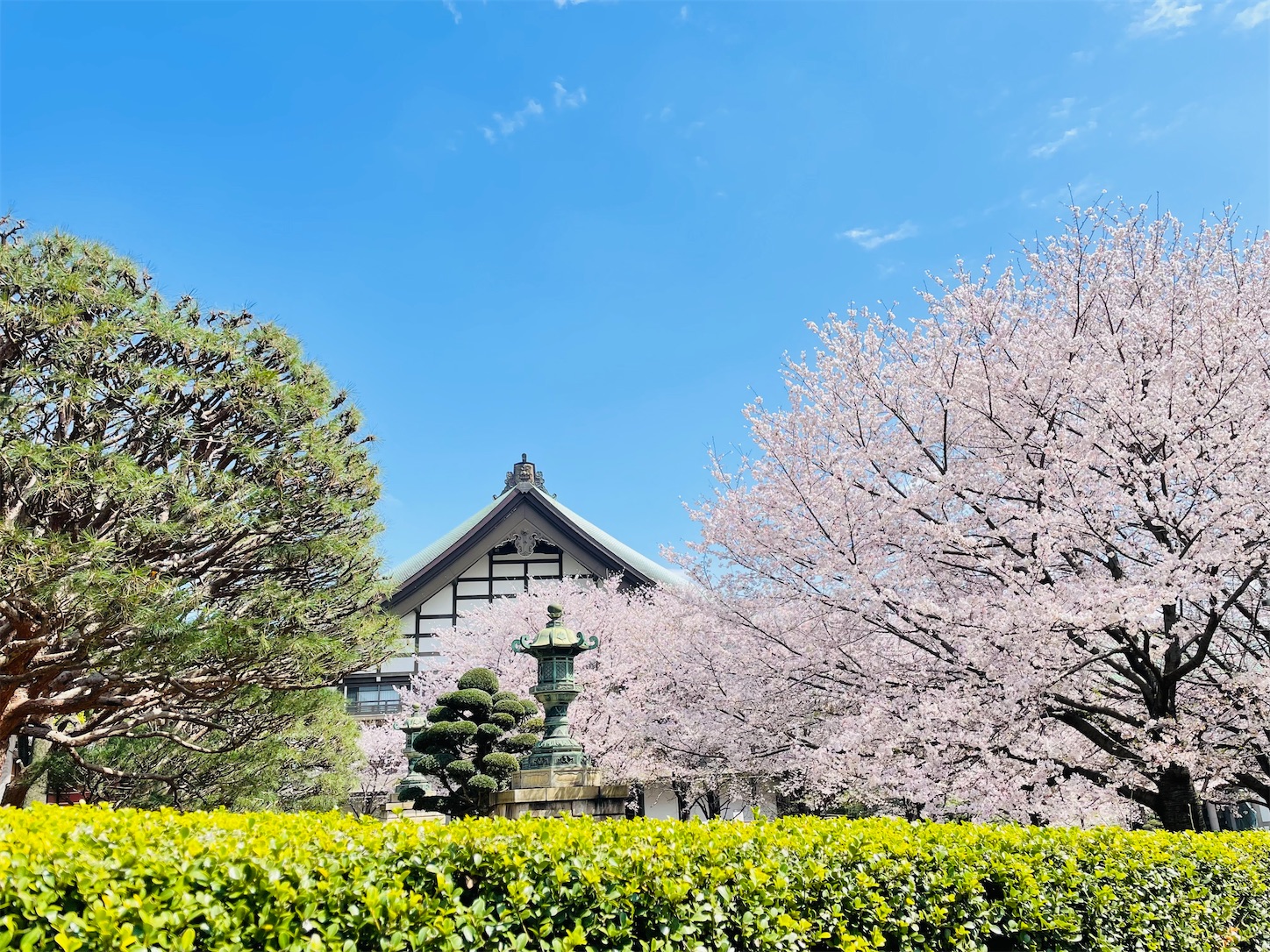 f:id:akisan01:20230330205053j:image