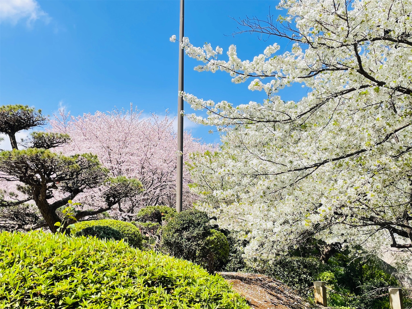 f:id:akisan01:20230330205056j:image