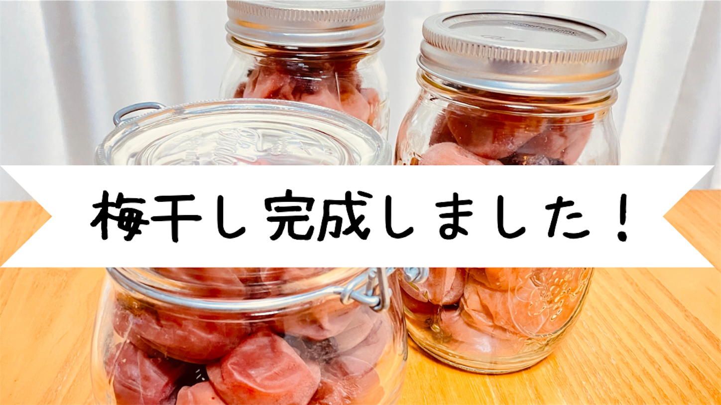 f:id:akisan01:20230804090028p:image