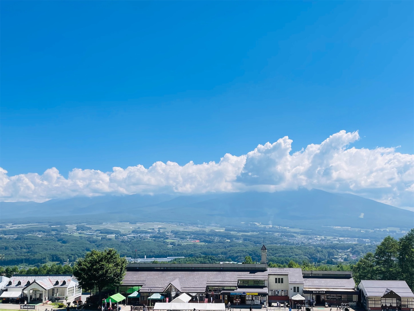 f:id:akisan01:20230816180315j:image f:id:akisan01:20230816180315j:image