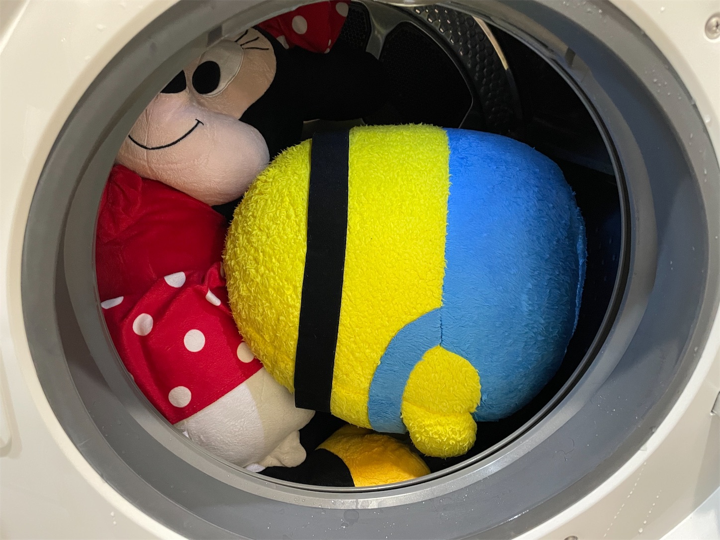 f:id:akisan01:20231028101748j:image