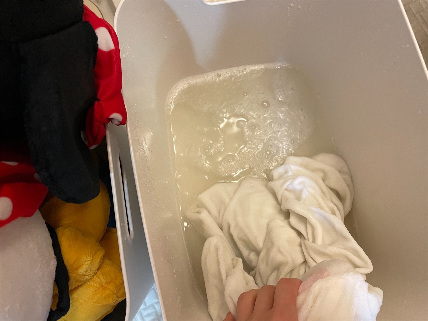 f:id:akisan01:20231028101848j:image