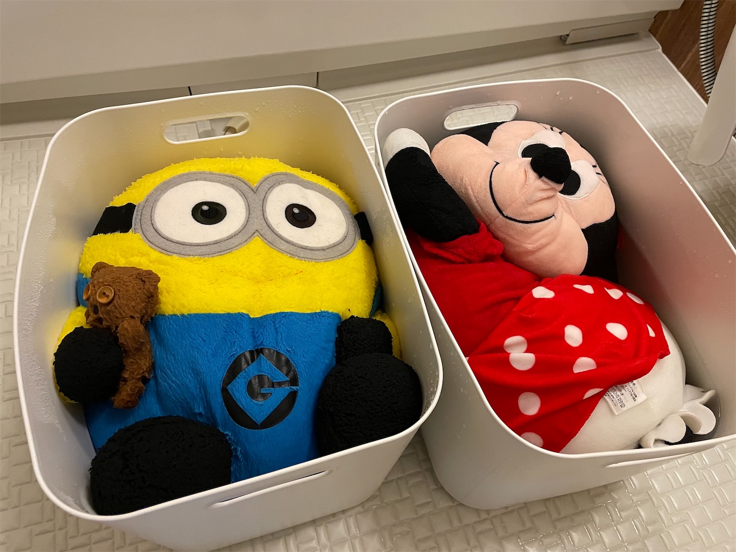 f:id:akisan01:20231028101913j:image