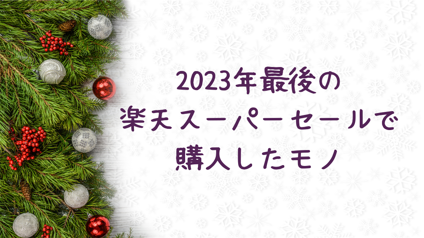 f:id:akisan01:20231204231927p:image