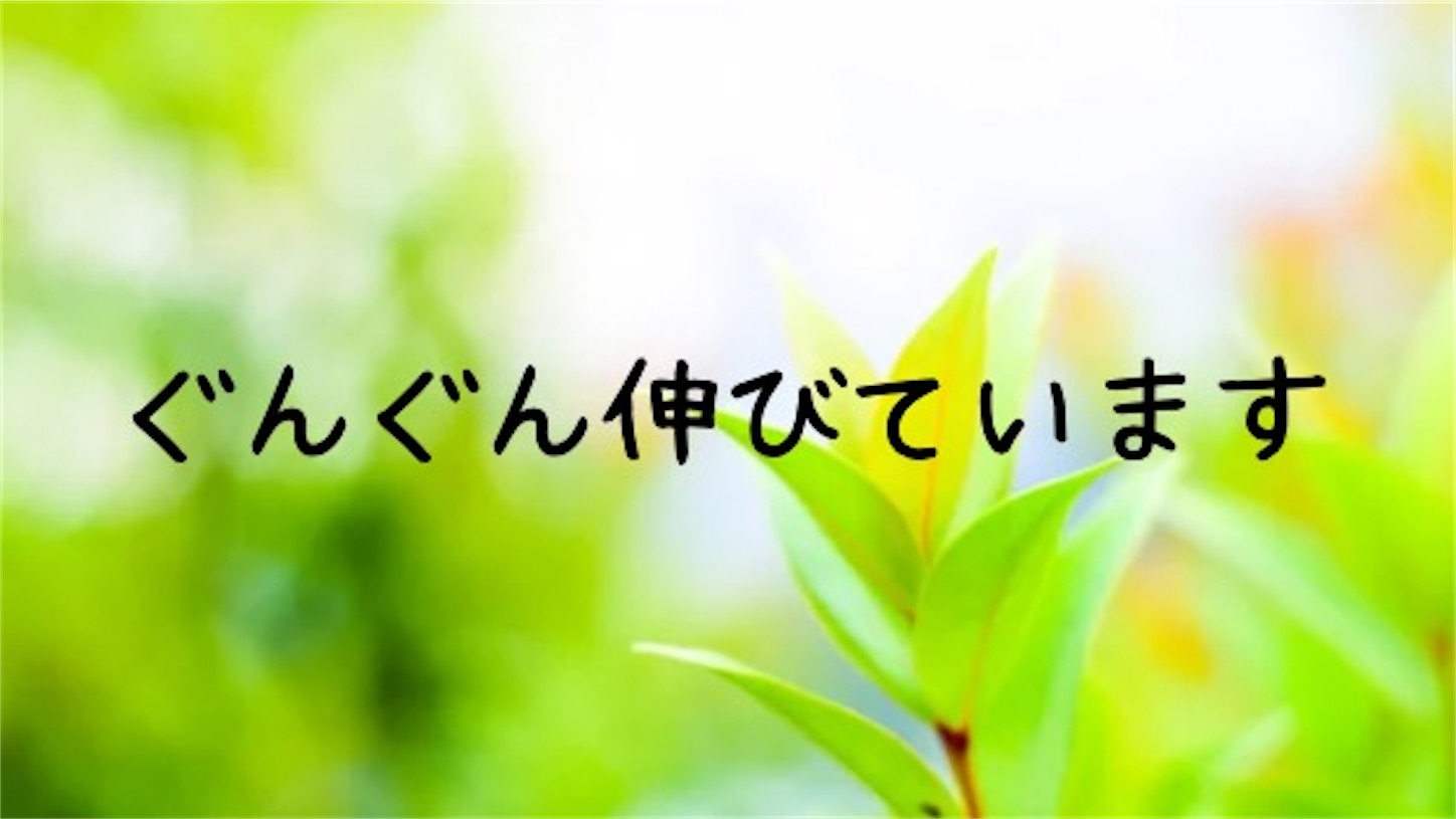 f:id:akisan01:20240521084321j:image