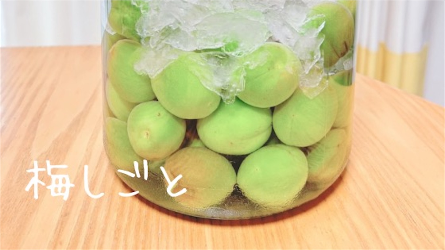 f:id:akisan01:20240605225200j:image